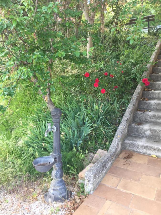 Green B&B Urbino Ca Del Vento 外观 照片