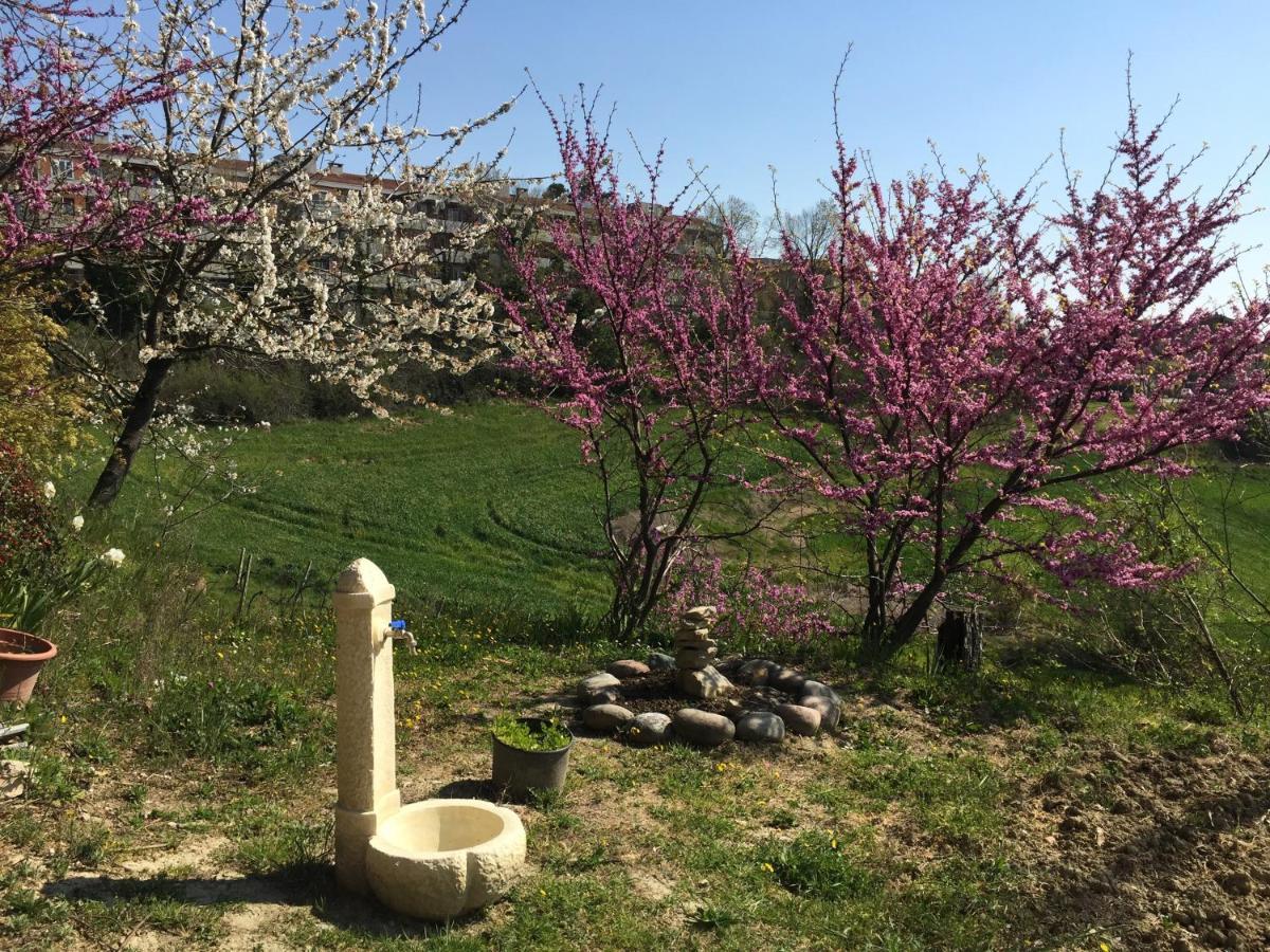 Green B&B Urbino Ca Del Vento 外观 照片