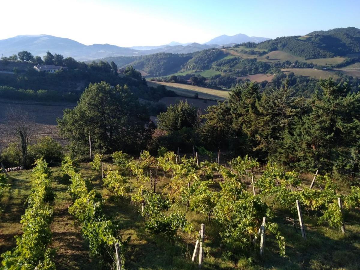 Green B&B Urbino Ca Del Vento 外观 照片